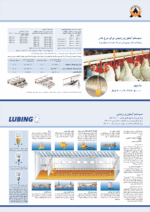 پرورش نیمچه تخمگذار در بستر - Image 3